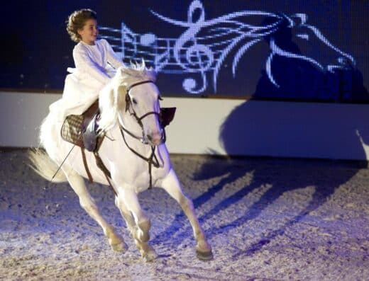 Fieracavalli 2026 – Verona, Italy