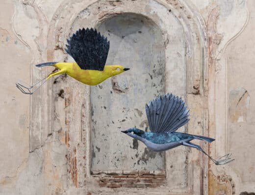 Selvatica – Arte e Natura in Festival 2027 – Biella, Italy
