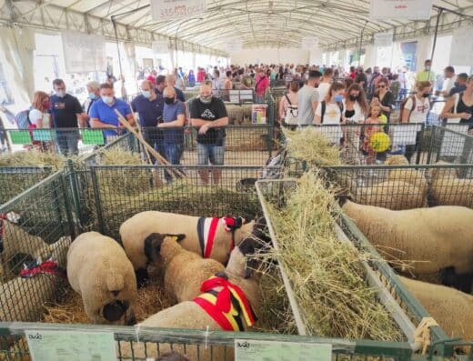 Agriumbria 2027 – Bastia Umbra, Italy