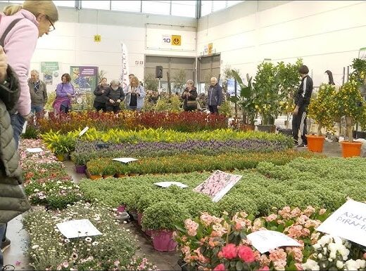 Fiera Vita in Campagna 2027 – Verona, Italy