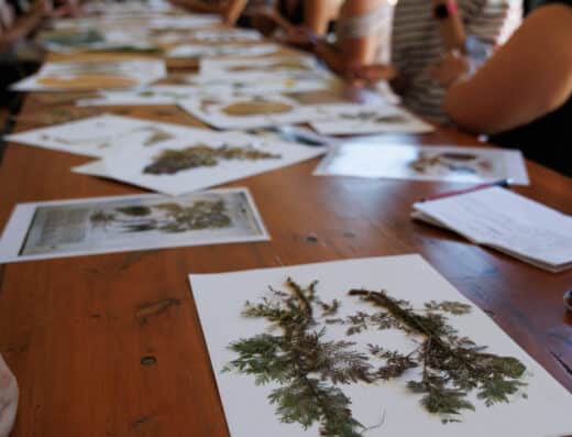 Strigarium • Il Grande Sabba 2027 – Casirate D’Adda, Italy