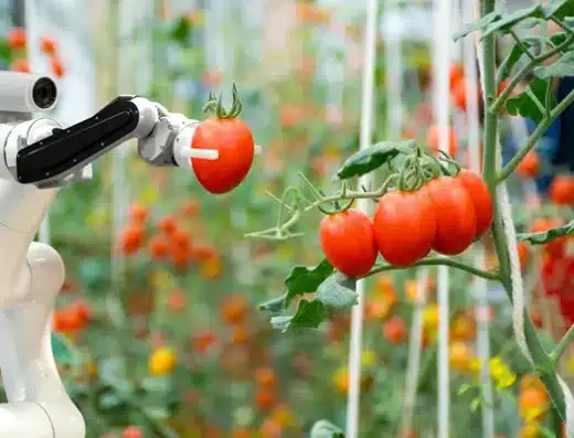 Frutech Fruit & Vegetable Expo 2026 – Catania, Italy
