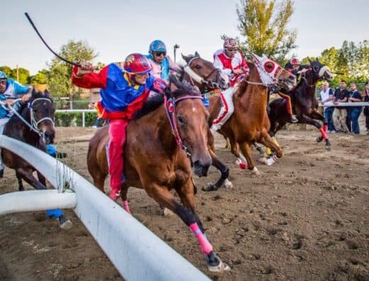 Palio di Fucecchio Festival 2027, Italy