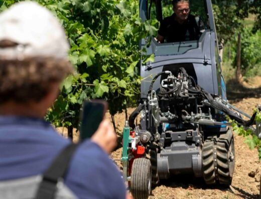 Enovitis in Campo 2027 – Veneto, Italy