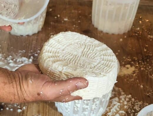 Calabria Food Fest 2027 – Italy