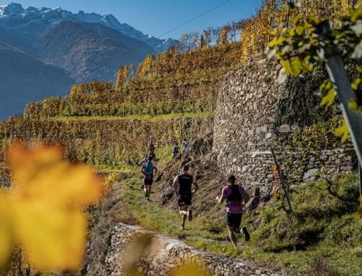 Ruta del vino de Valtellina 2026 – Italia