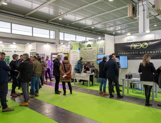 NovelFarm Expo